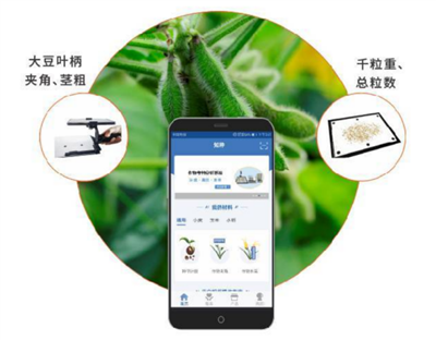 大豆表型檢測系統(tǒng)